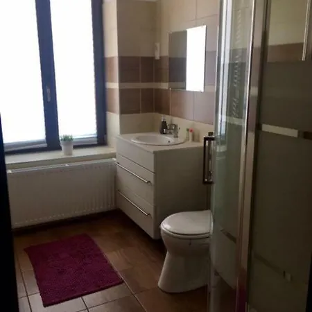 Erzsebet Vendeghaz Pensionat *